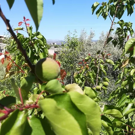 πέτρα, ελιά και λεβάντα Ferienhaus *