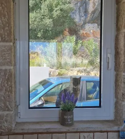 πέτρα, ελιά και λεβάντα *