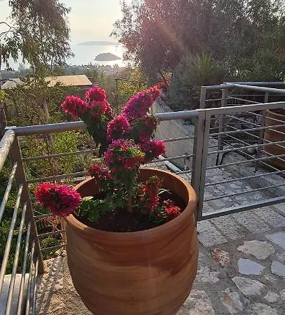 πέτρα, ελιά και λεβάντα