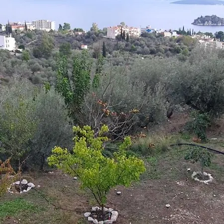 πέτρα, ελιά και λεβάντα Ferienhaus