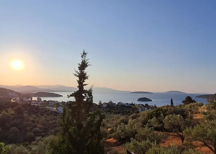 πέτρα, ελιά και λεβάντα Tolón