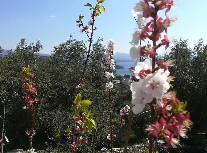 πέτρα, ελιά και λεβάντα Hébergement de vacances