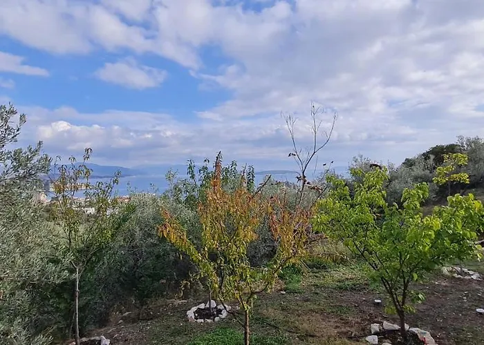 Hébergement de vacances πέτρα, ελιά και λεβάντα Tolón