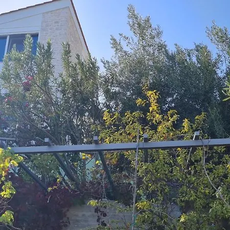 πέτρα, ελιά και λεβάντα Τολό