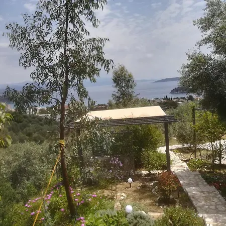 πέτρα, ελιά και λεβάντα * Τολό
