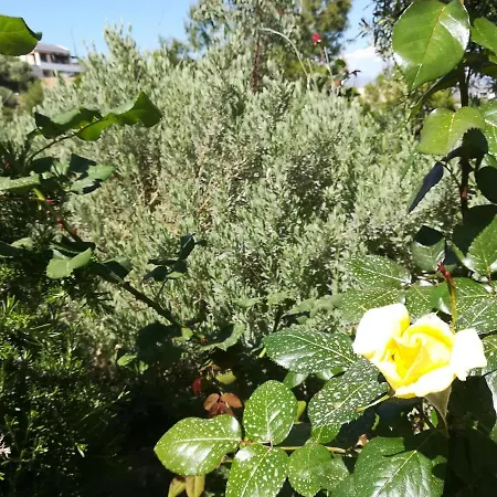 Сasa de vacaciones πέτρα, ελιά και λεβάντα *