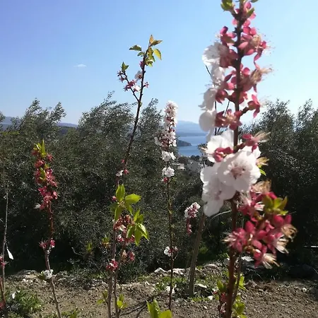 πέτρα, ελιά και λεβάντα Tatil Evi
