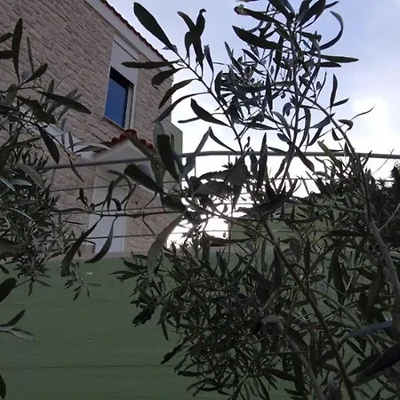 πέτρα, ελιά και λεβάντα Tolón