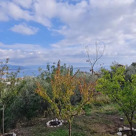 Σπίτι διακοπών πέτρα, ελιά και λεβάντα Τολό