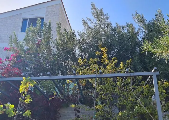 πέτρα, ελιά και λεβάντα טולון