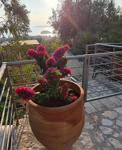 πέτρα, ελιά και λεβάντα