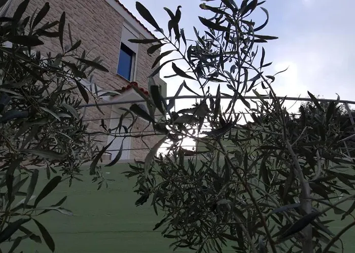 πέτρα, ελιά και λεβάντα טולון