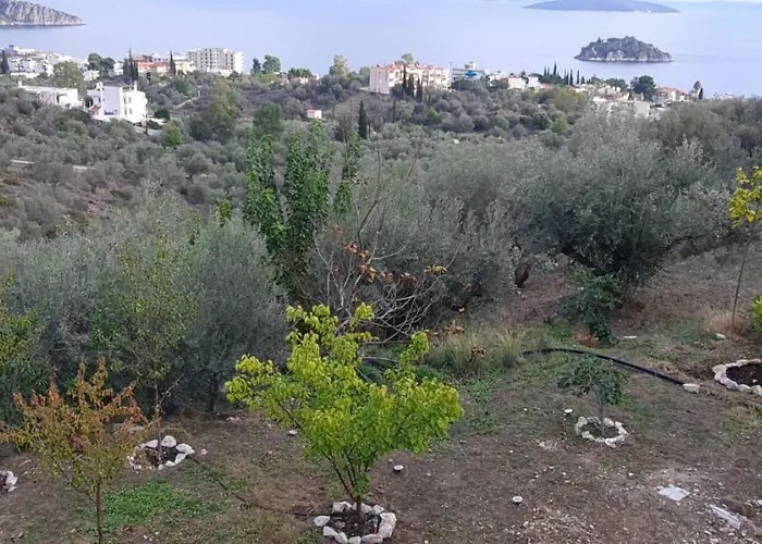 πέτρα, ελιά και λεβάντα 펜션