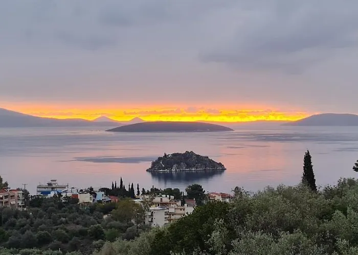πέτρα, ελιά και λεβάντα 펜션 Tolón